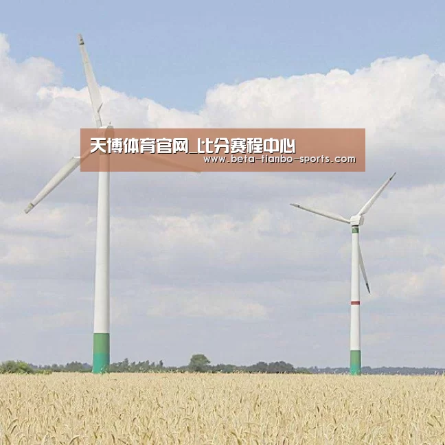 风能