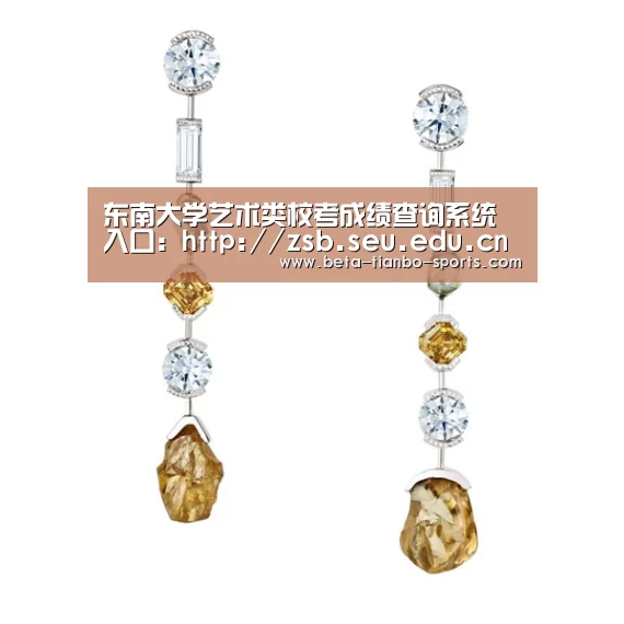东南大学艺术类校考成绩查询系统 入口:http://zsb.seu.edu.cn/af/ff/c4937a45055/p:天博体育平台官网(图2) 天博体育app最新版本