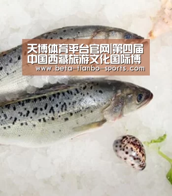 天博体育平台官网|第四届中国西藏旅游文化国际博览会“地球第三极”(图3) 天博体育app最新版本