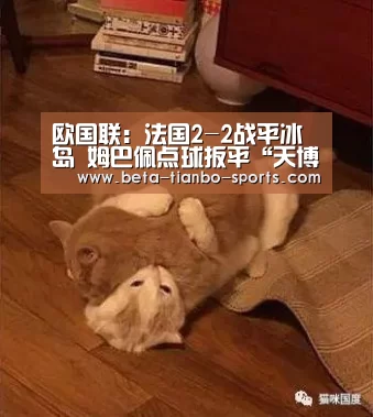 欧国联:法国2-2战平冰岛 姆巴佩点球扳平“天博体育官网”(图1) 天博体育app最新版本