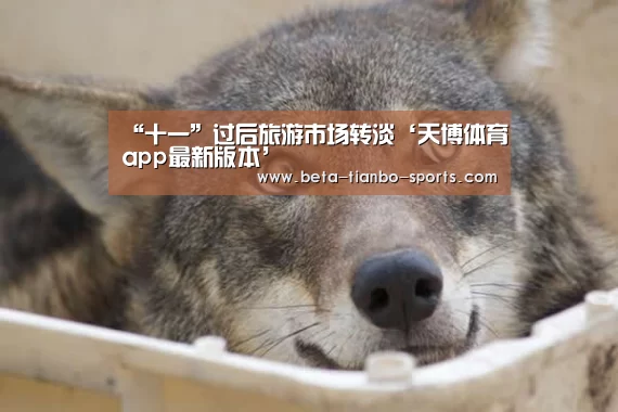 天博体育官网