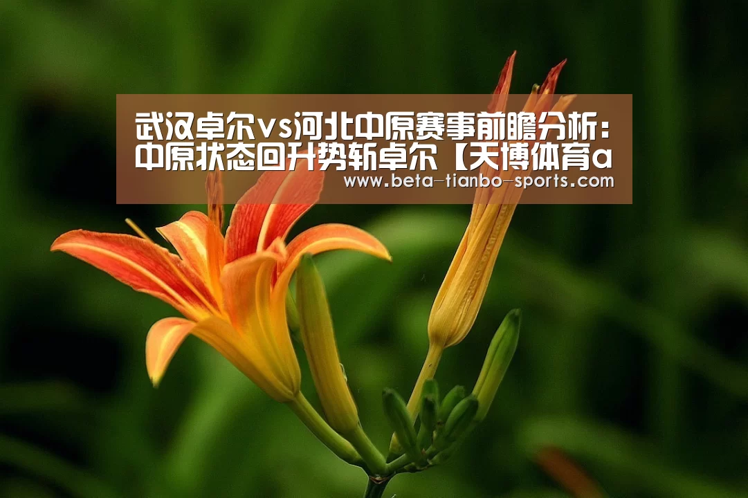 天博体育app